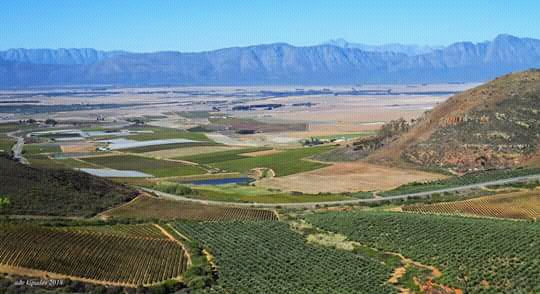 Riebeek Valley